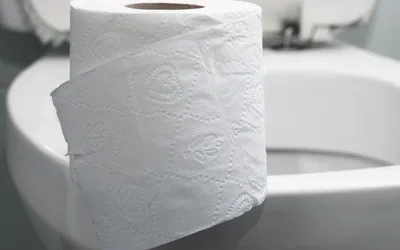 Запор у взрослых: причины и последствия