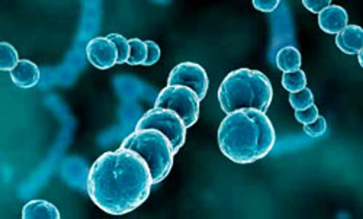 Летняя ангина