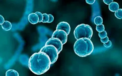 Летняя ангина