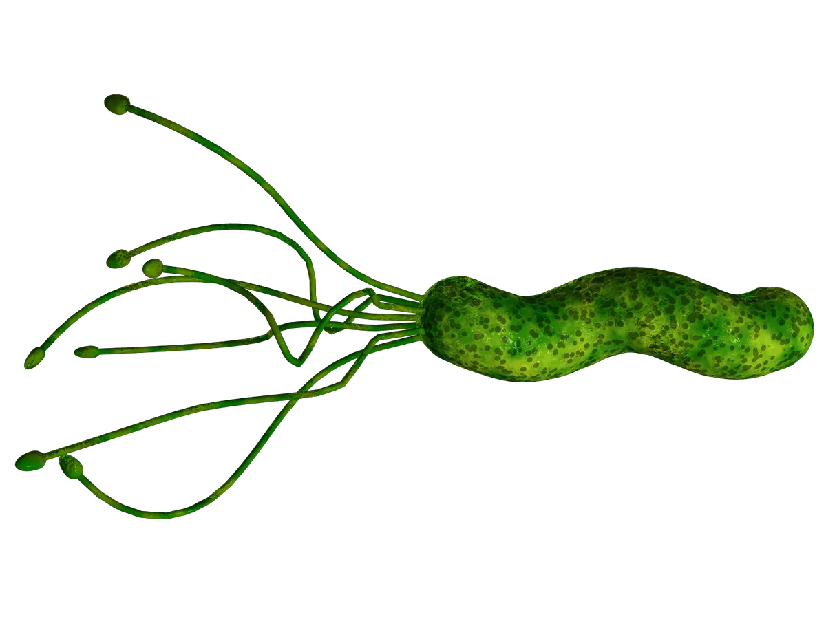 Діагностика хелікобактерної інфекції