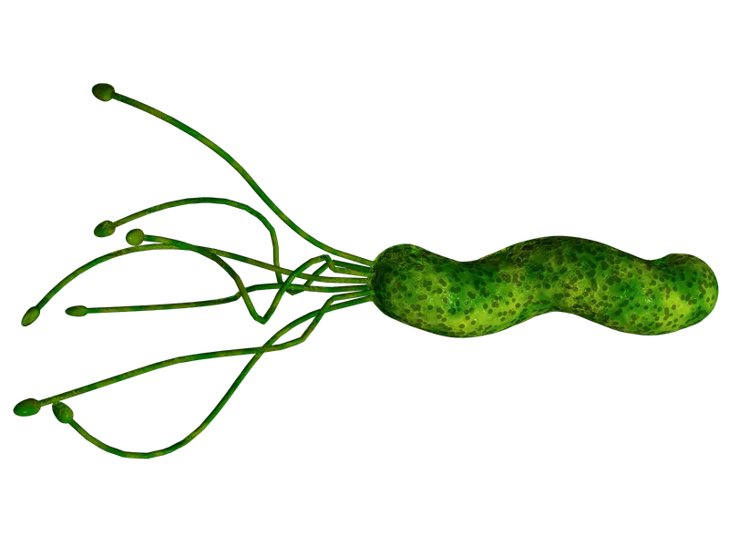 хеликобактерная инфекция, лечение