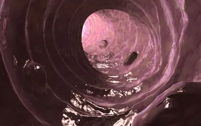 Почему колоноскопия кишечника – это лучшая профилактика рака толстой кишки