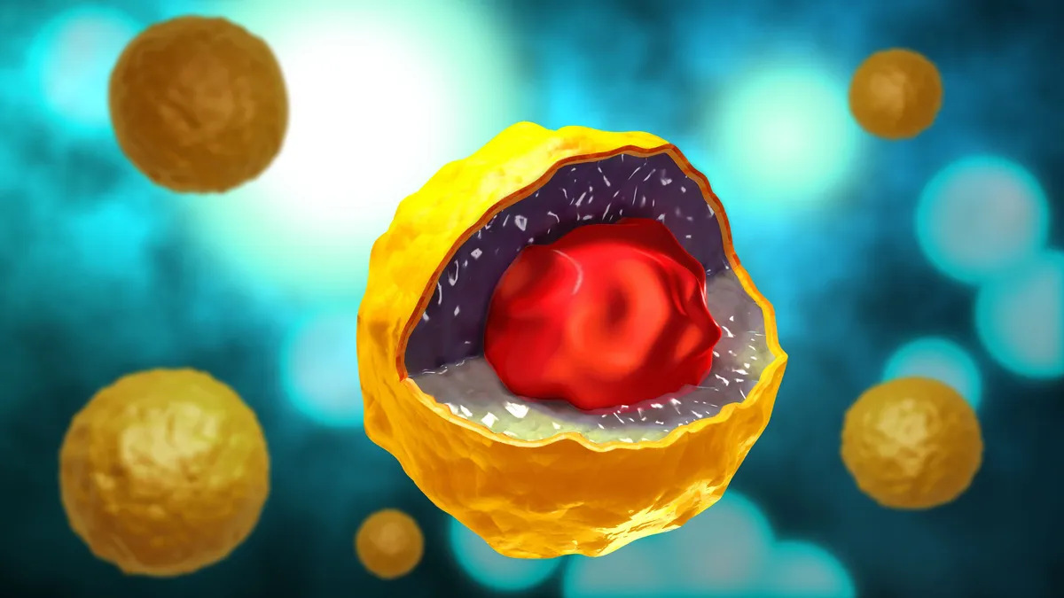 Как распознать симптомы хламидиоза?