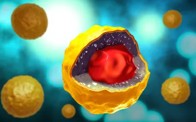 Как распознать симптомы хламидиоза?