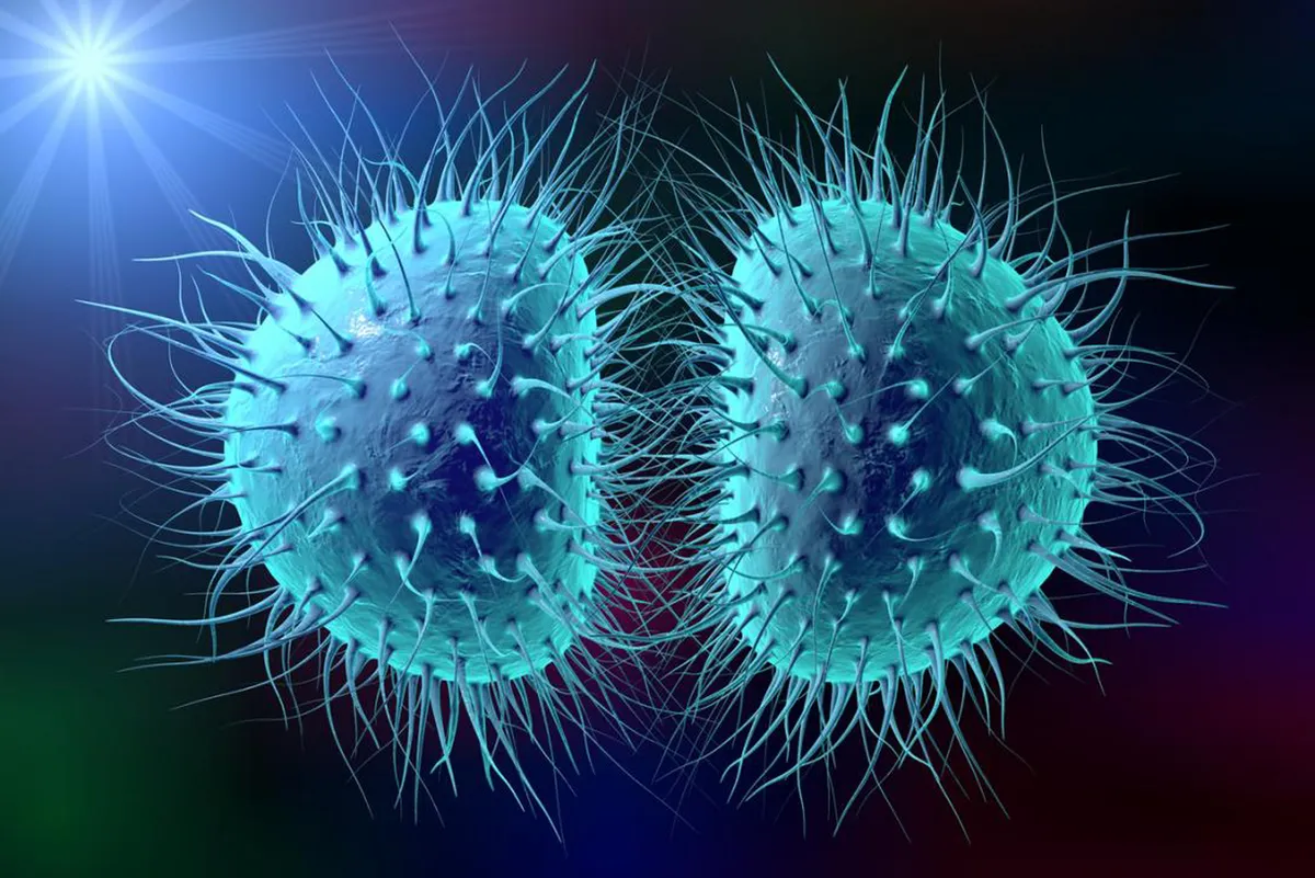 Как распознать симптомы менингита?