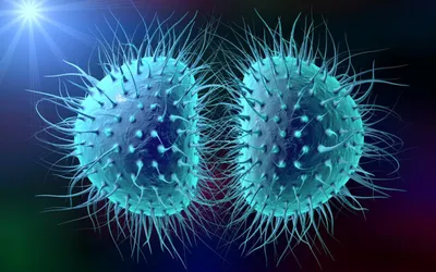 Как распознать симптомы менингита?