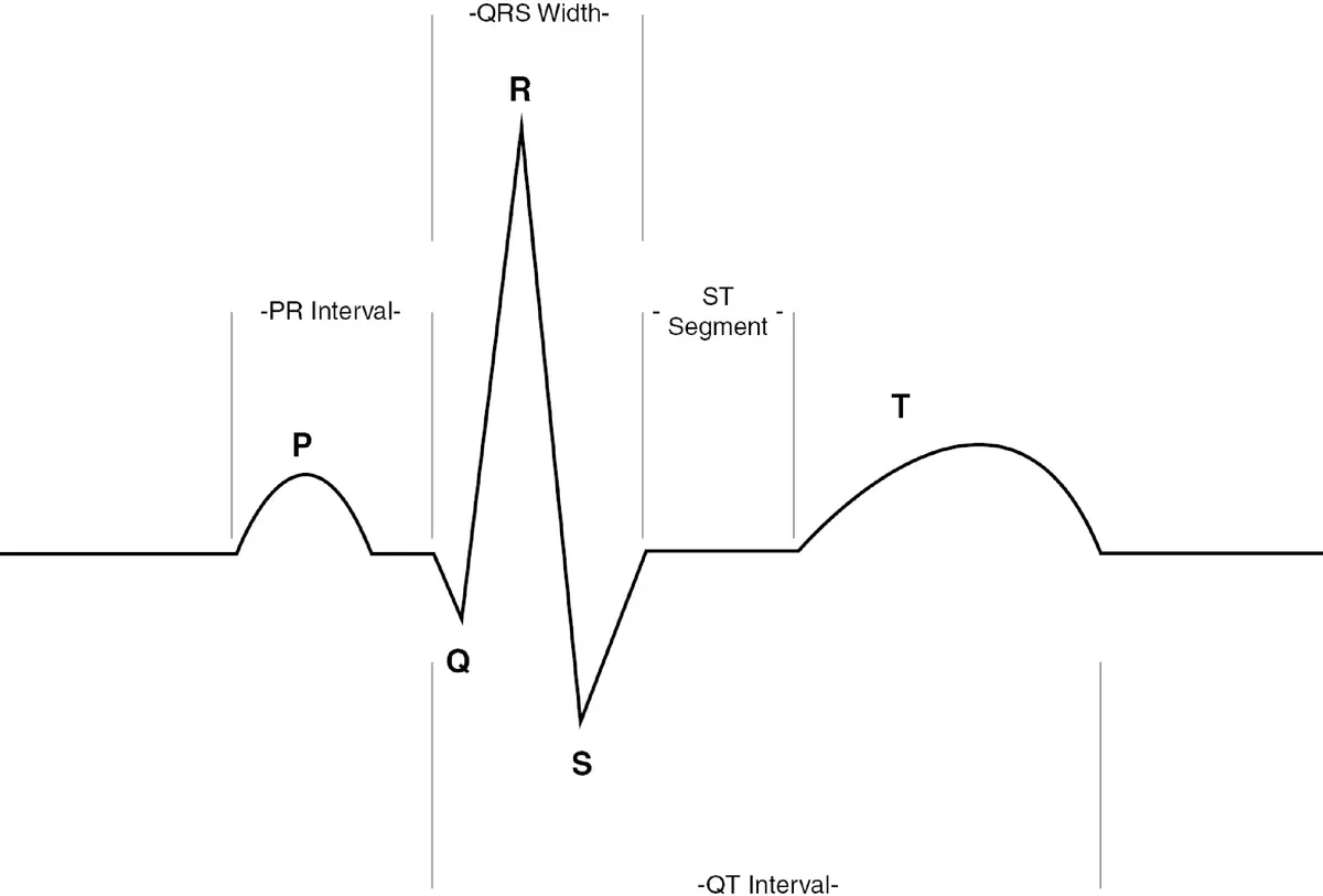3 вида блокады сердца и как ее лечить?