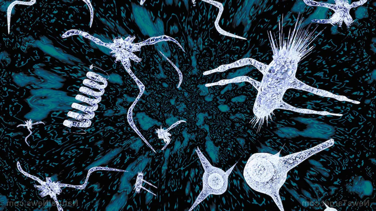 Радиоволновое удаление папиллом на половых органах