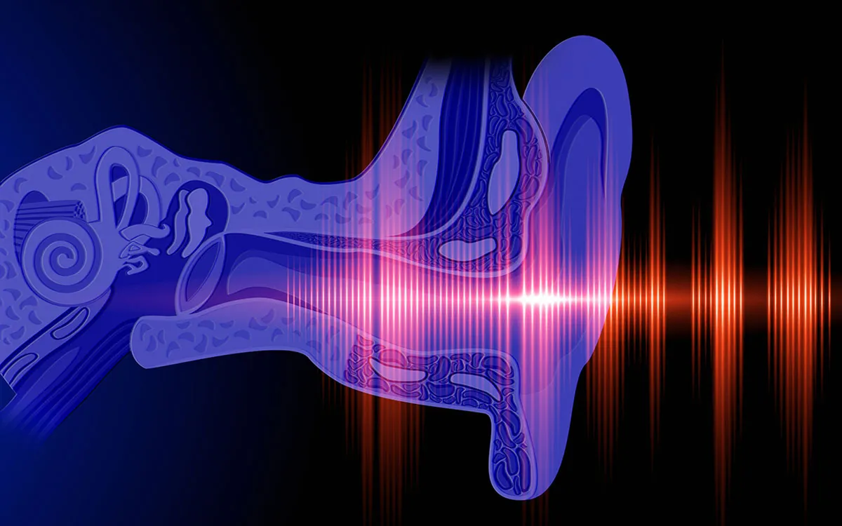 7 главных причин энцефалита