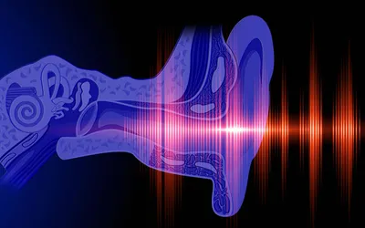 7 главных причин энцефалита