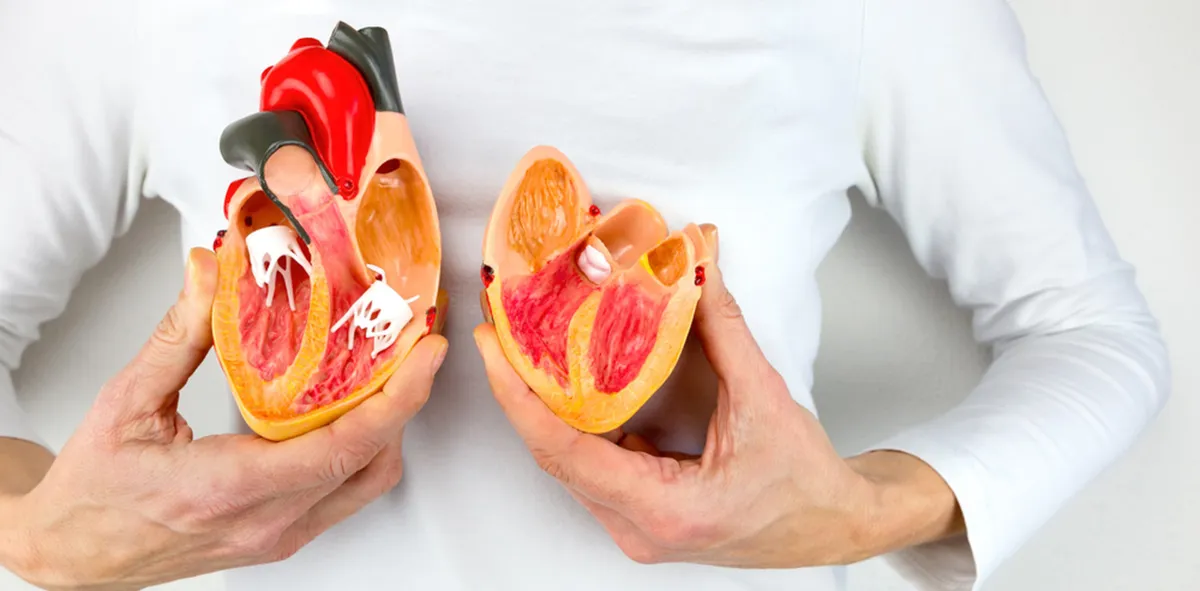 Що показує біохімічний аналіз крові?