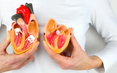 Що показує біохімічний аналіз крові?