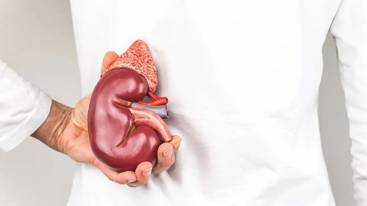 Що показує аналіз сечі?