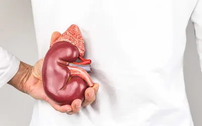 Що показує аналіз сечі?